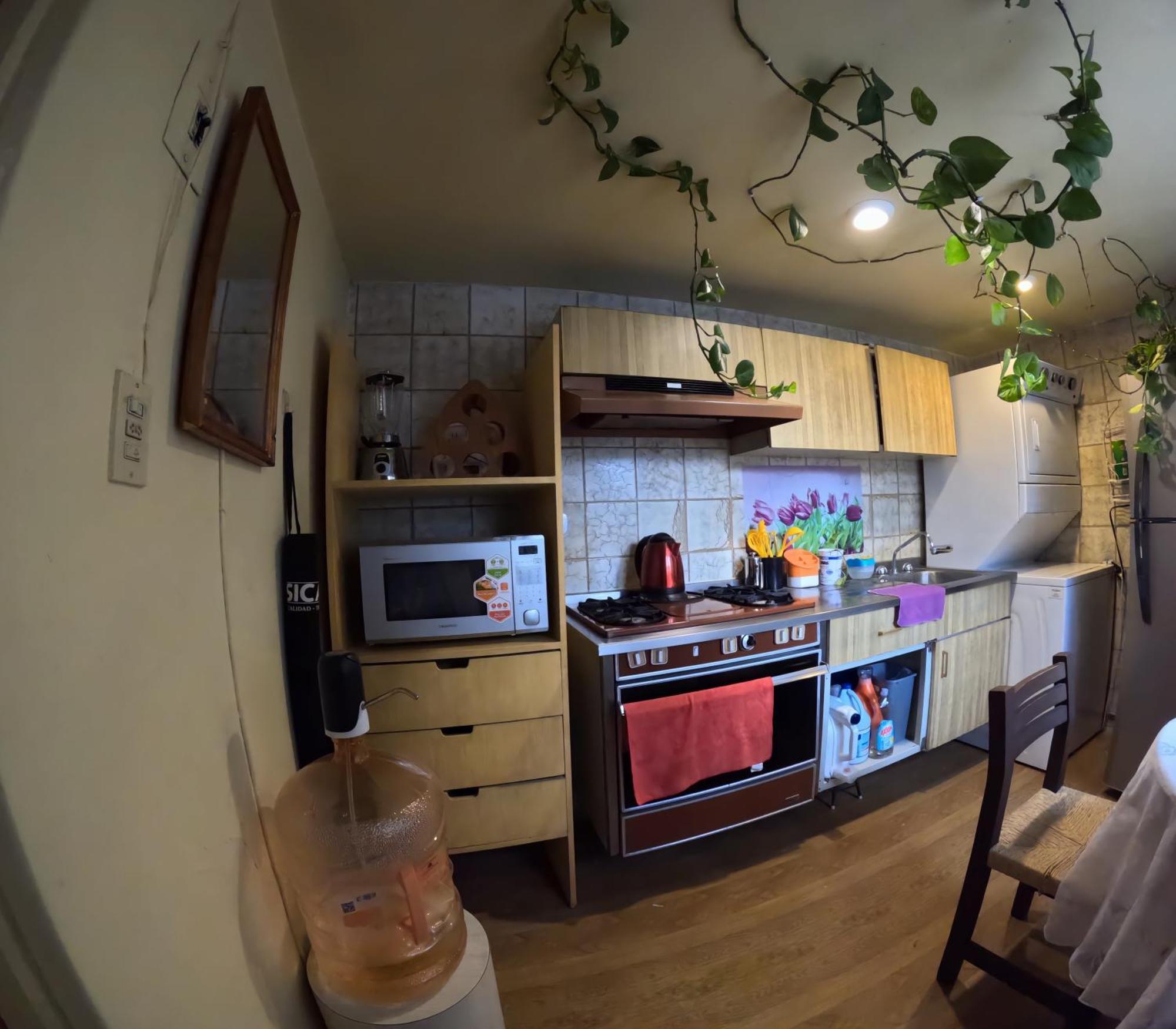 Neighbor Of Frida Khalo, Vintage Stay In Coyoacan Mexico City Ngoại thất bức ảnh