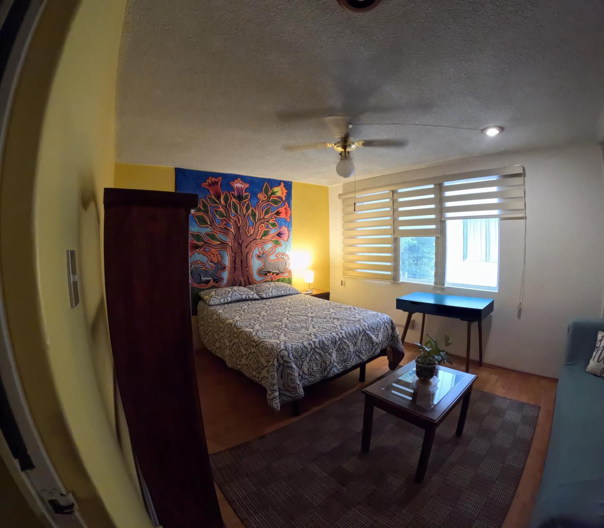 Neighbor Of Frida Khalo, Vintage Stay In Coyoacan Mexico City Ngoại thất bức ảnh