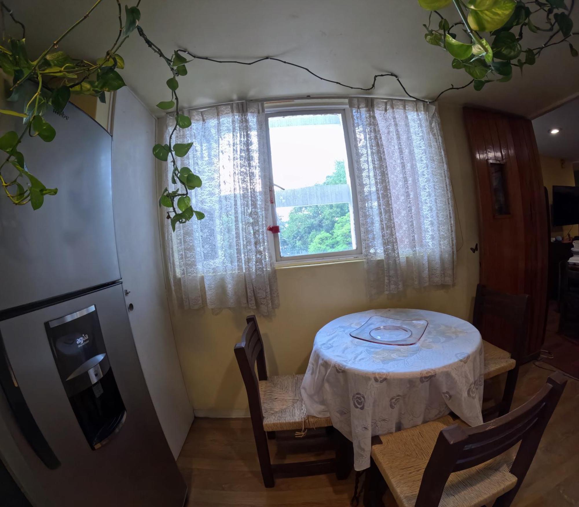 Neighbor Of Frida Khalo, Vintage Stay In Coyoacan Mexico City Ngoại thất bức ảnh
